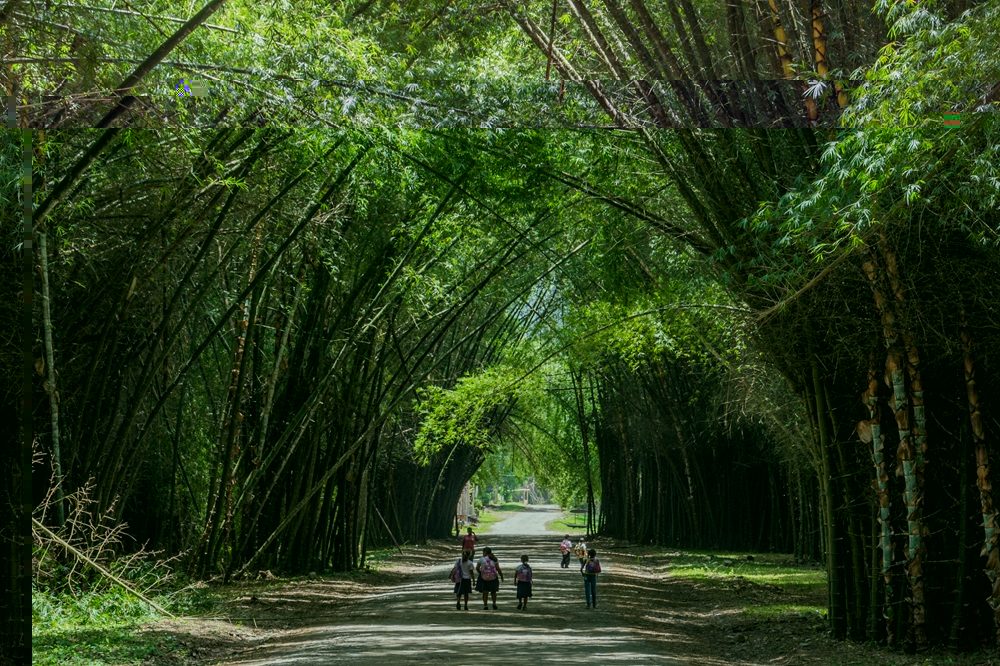 Honduras Tela () Honduras Tela ()