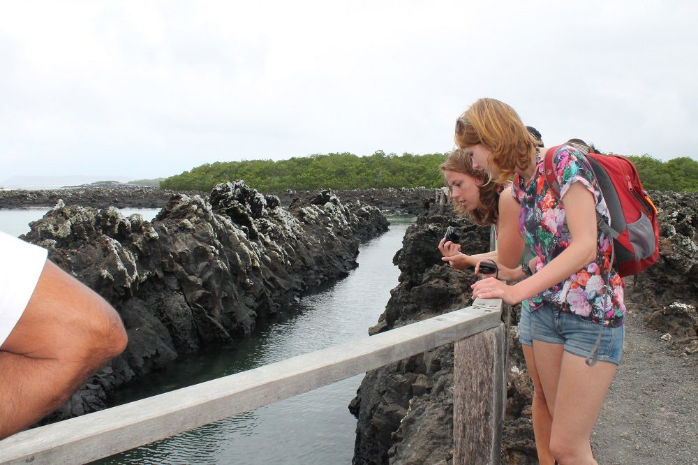 Isabela Tintoreras Islet