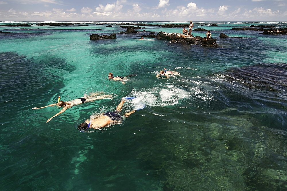 Isabela Tunnels snorkeling snorkelen