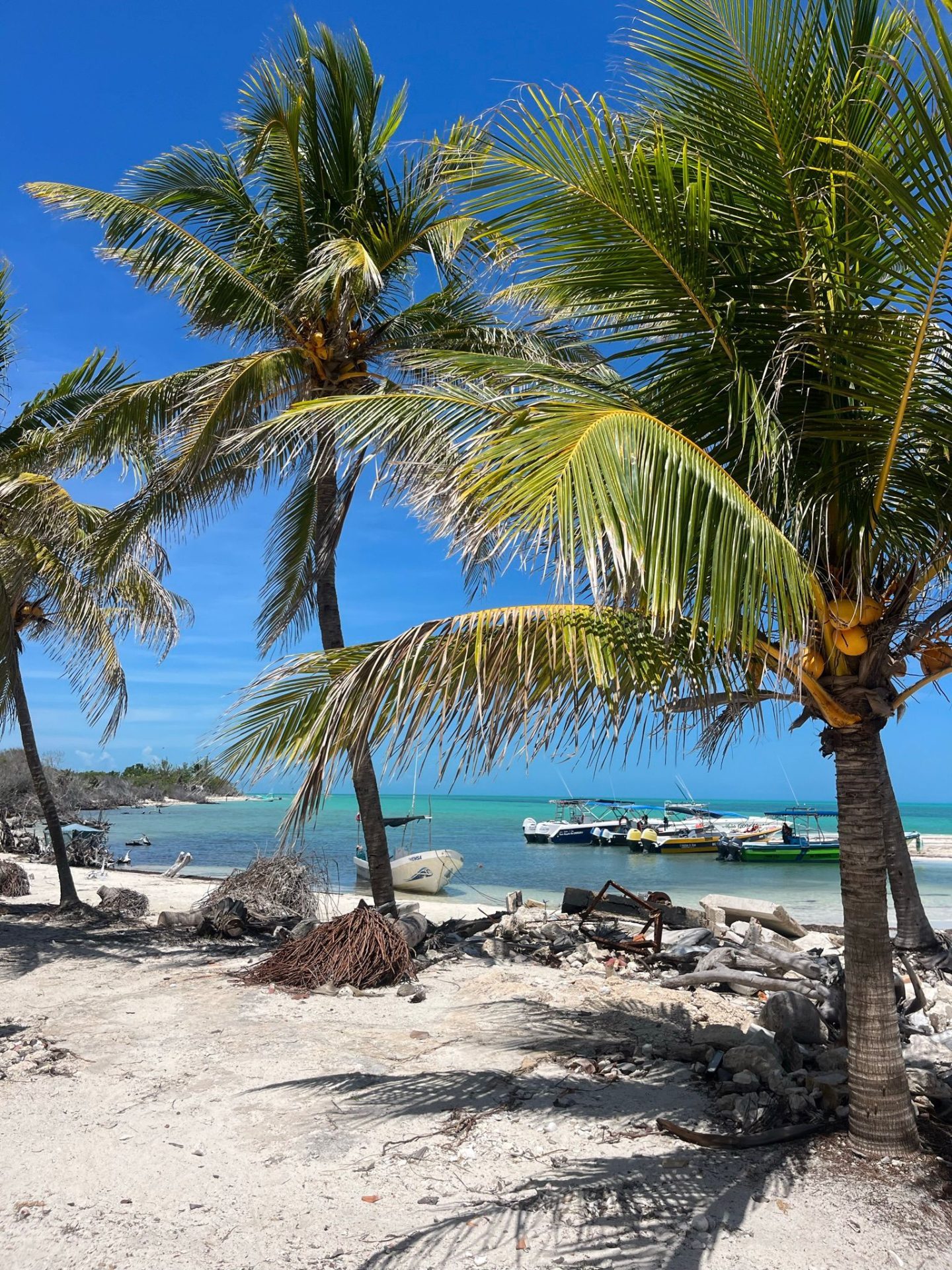 Isla Holbox mexico