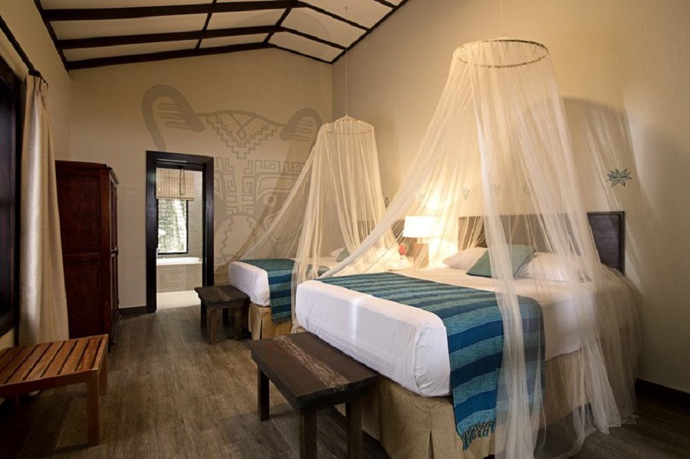 Jungle Lodge hotel Jungle Lodge hotel