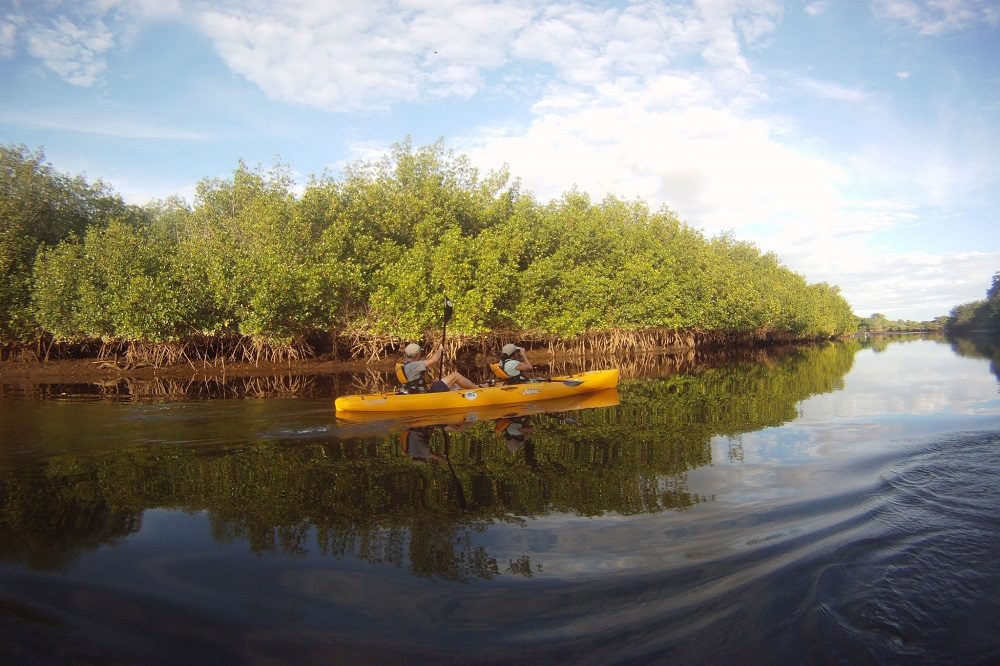 Kajak Bahia Jiquilisco Kajak Bahia Jiquilisco
