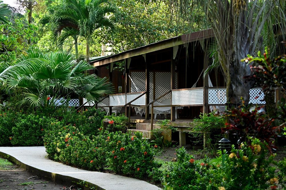Kamer Tortuguero