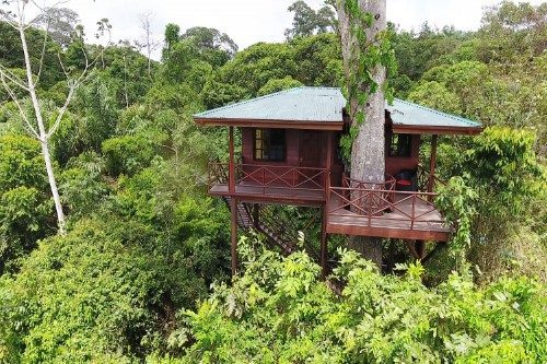 Lapa Verde Tree House 4 foto gekregen van Maquenque Lodge