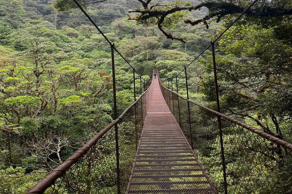 lustrumreis Panama Boquette