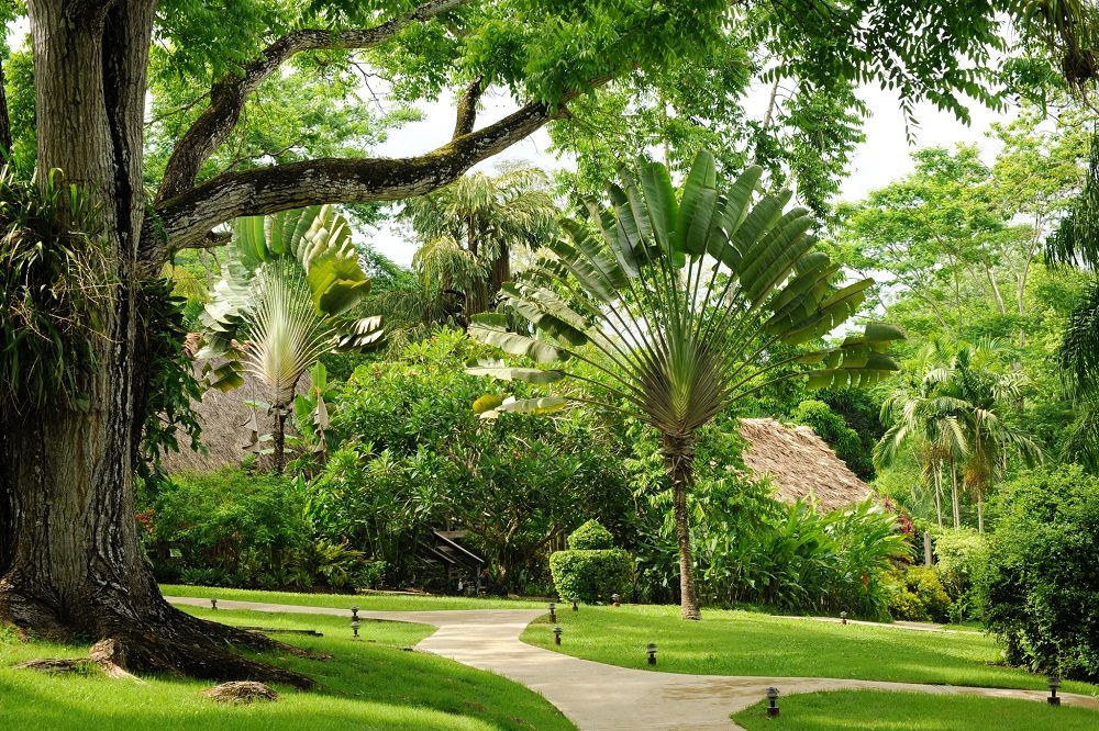 Macal River lodge tuin Macal River lodge tuin