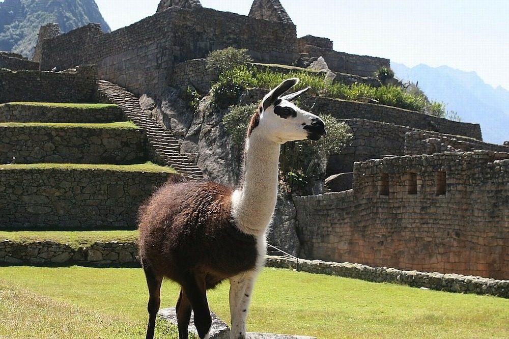 Machu Picchu Hoogtepunten reis Peru