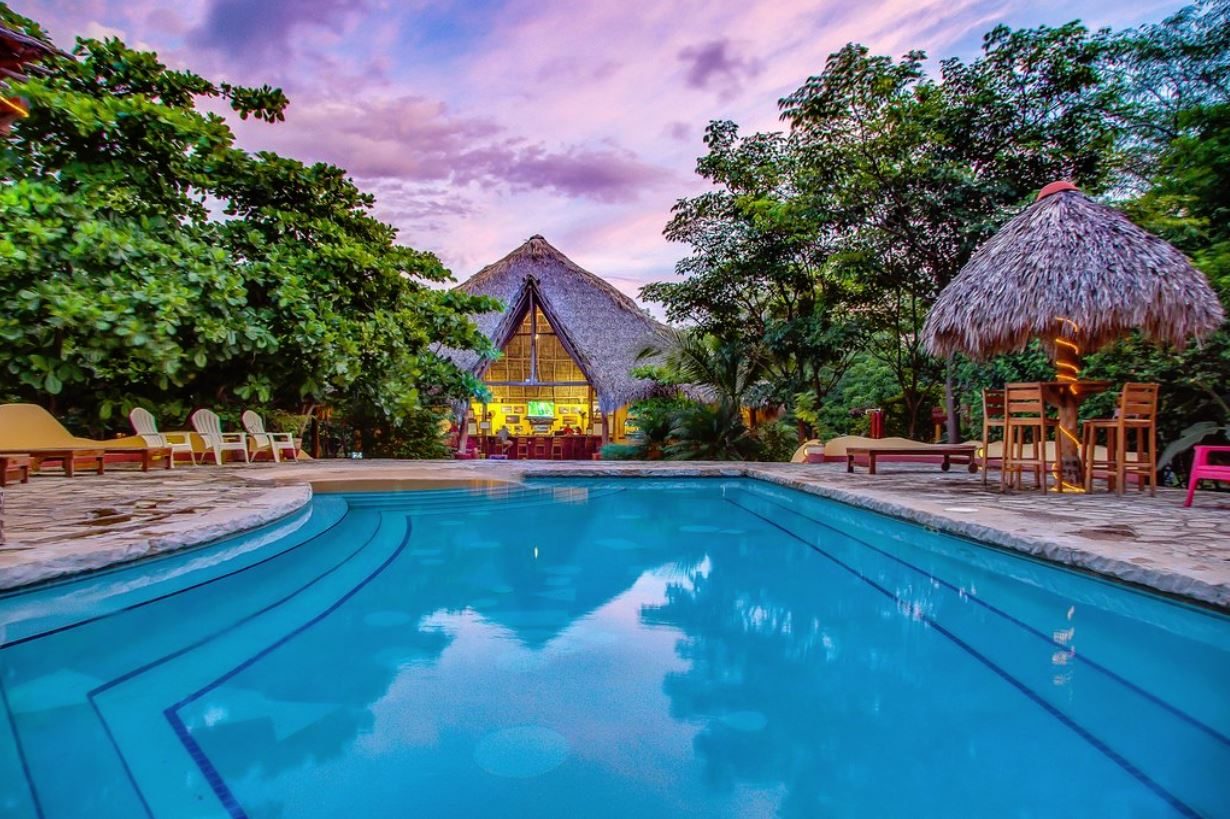 Mango Rosa 1 Mango Rosa 1