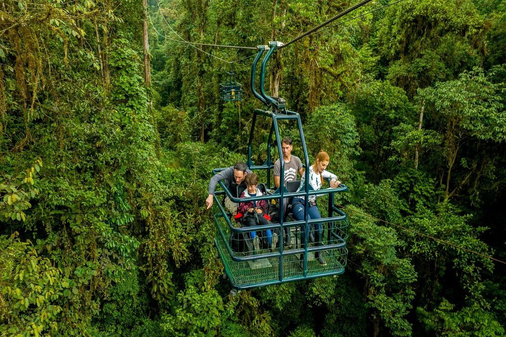 Mashpi lodge family dragonfly Mashpi lodge family dragonfly