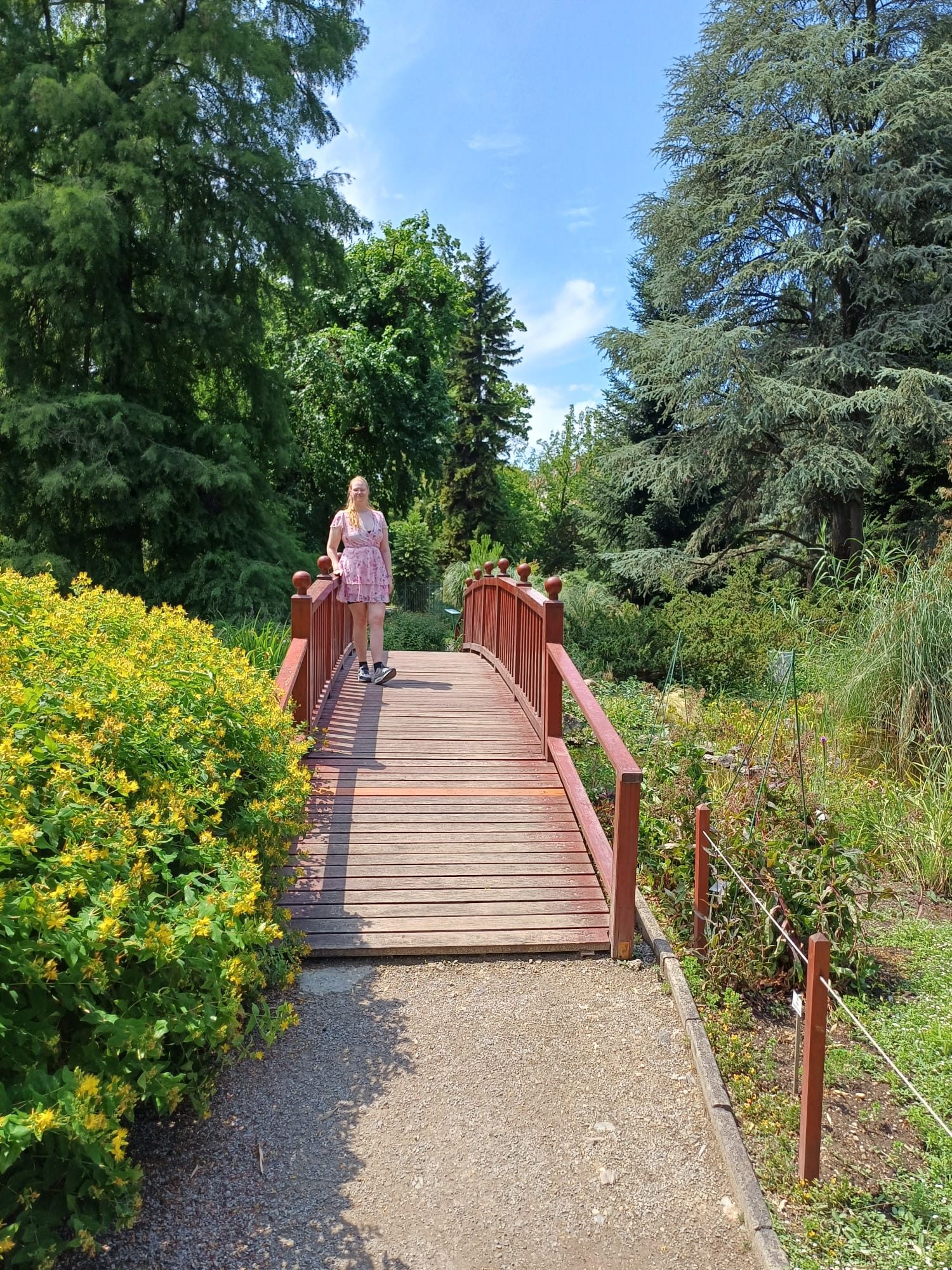 Melissa Unico Travel () Melissa Unico Travel ()