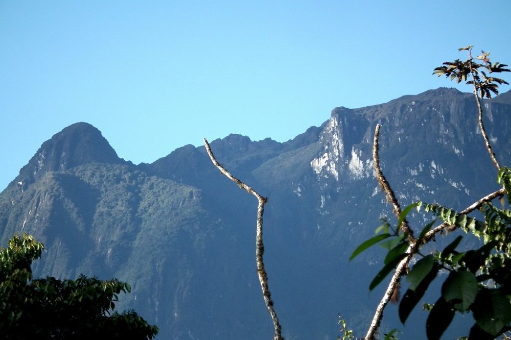 Montezuma Rainforest Reserve