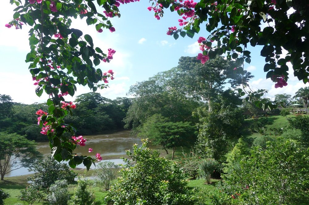 Mystic River belize