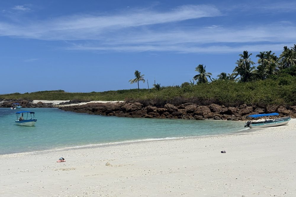 Natuurreis Panama Pedasí