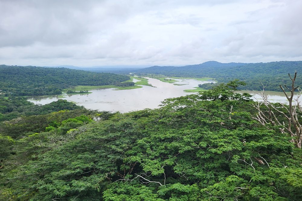 Natuurreis Panama Soberania