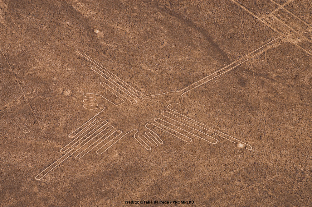 Nazca lijnen talia barreda promperu