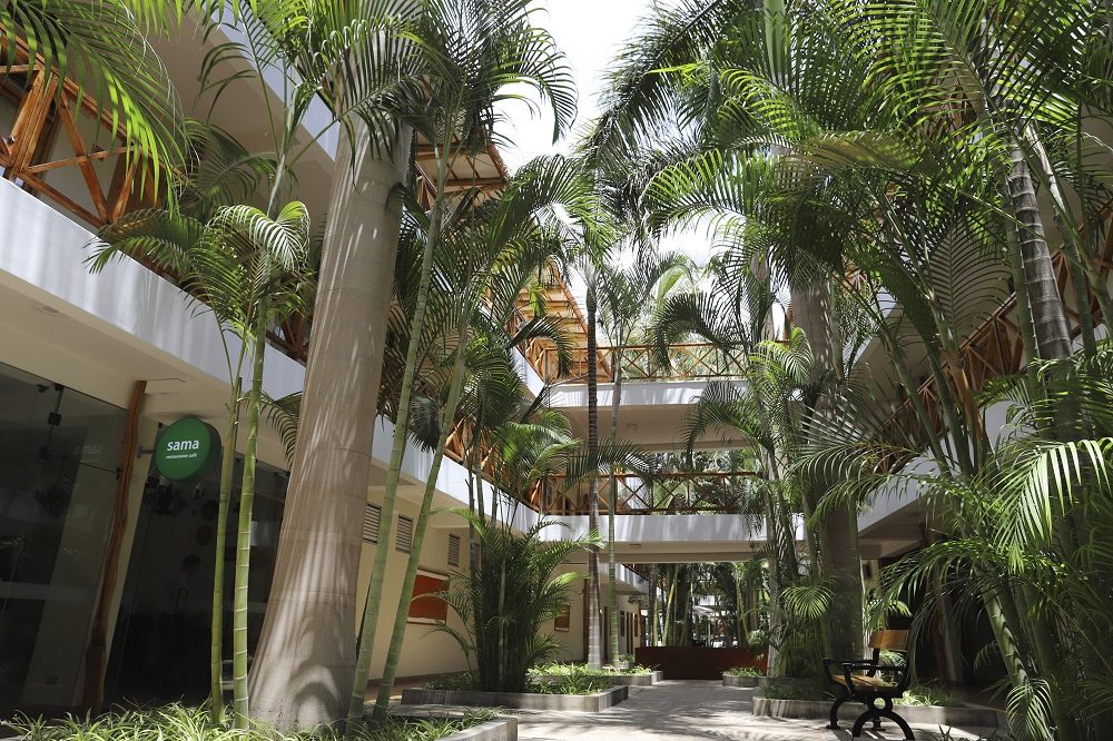 Nazca reis peru Nazca reis peru