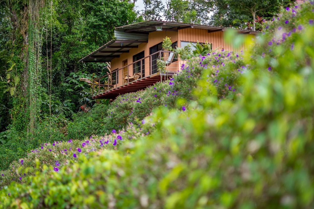 Nepenthe accommodatie Arenal Nepenthe accommodatie Arenal