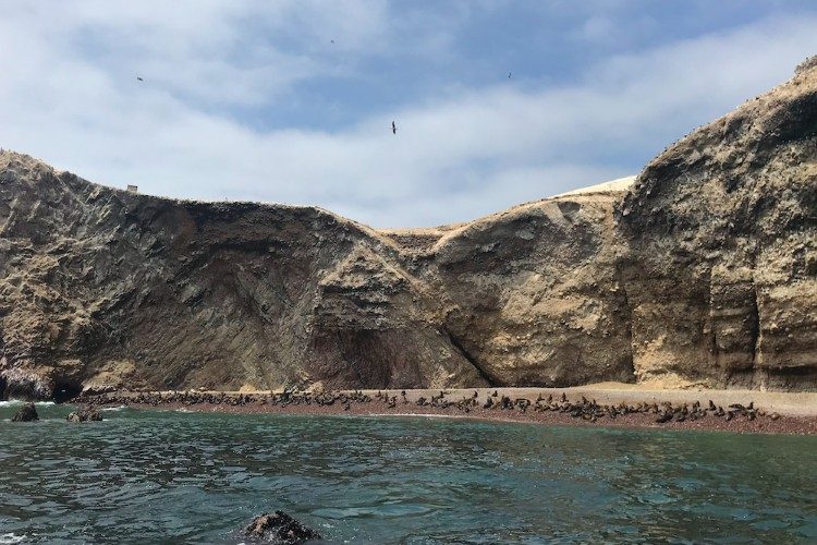 Paracas 3 