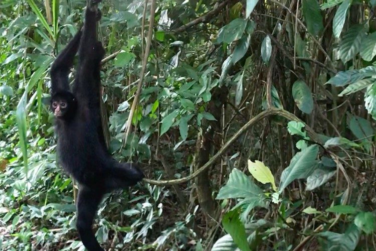 Puerto Maldonado 3 Puerto Maldonado 3