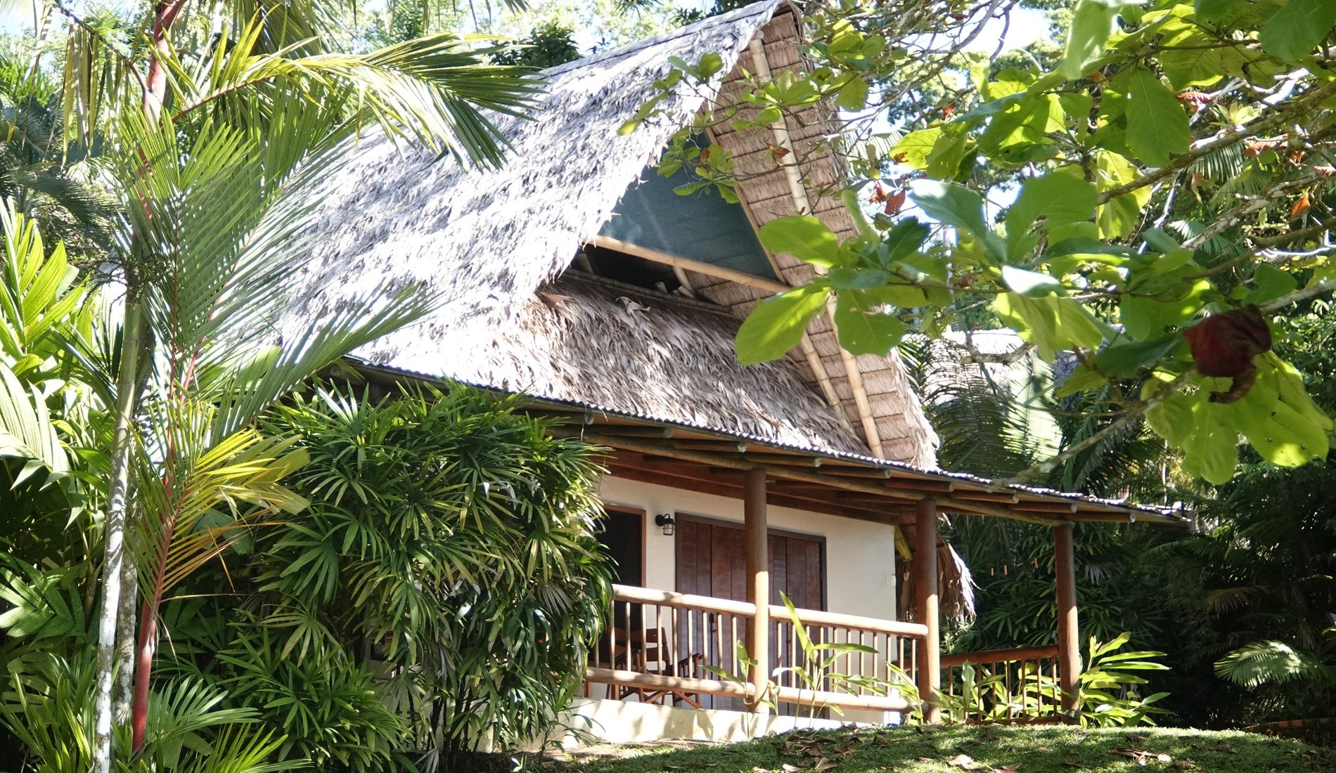 Rondreis Panama & Costa Rica Osa