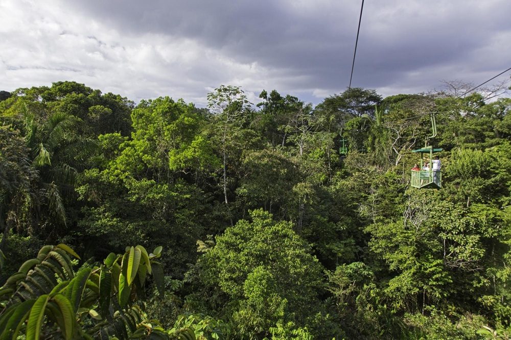 Rondreis Panama & Costa Rica (Osa)