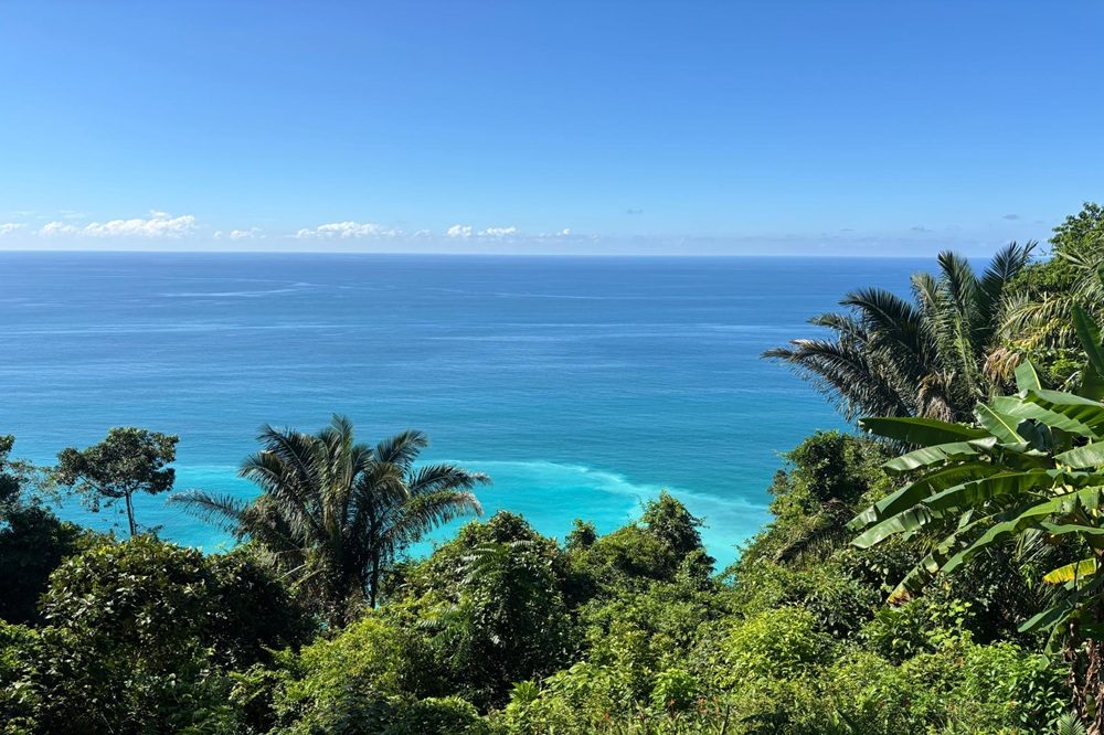 Rondreis Panama & Costa Rica Osa Cabo Matapalo