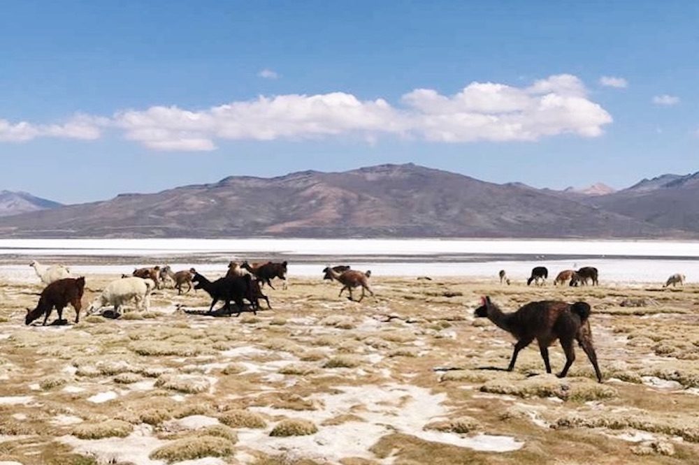 Salineras Arequipa Peru 1