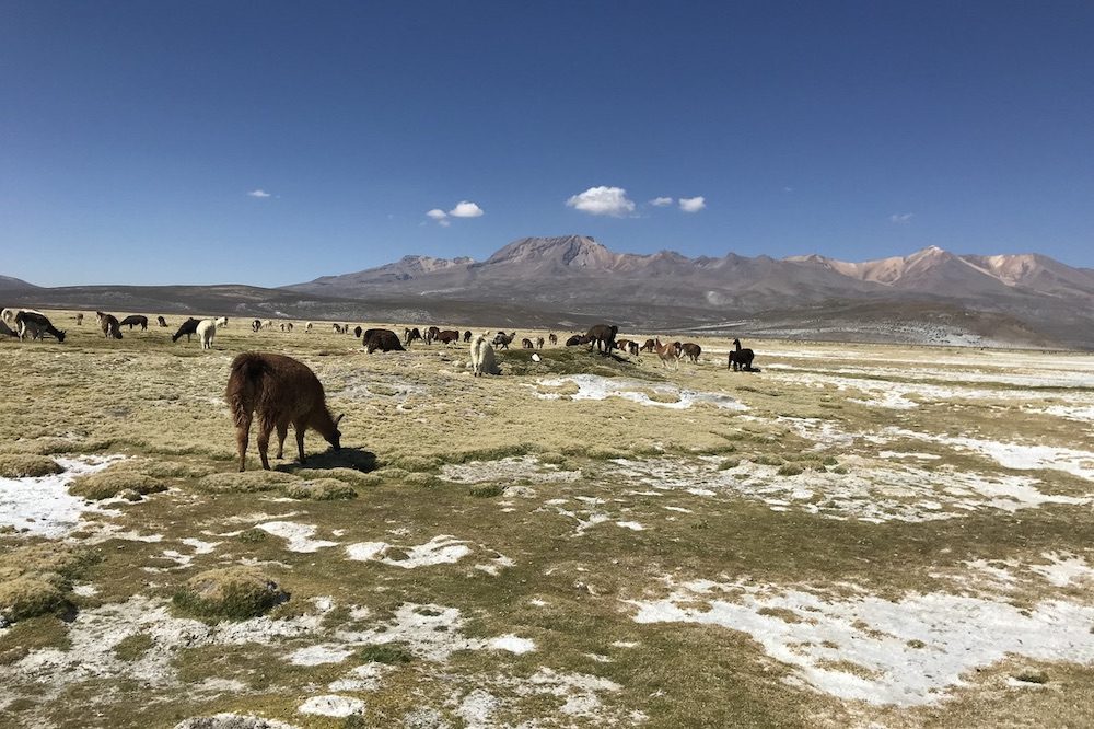 Salineras hoogtepunten peru Salineras hoogtepunten peru