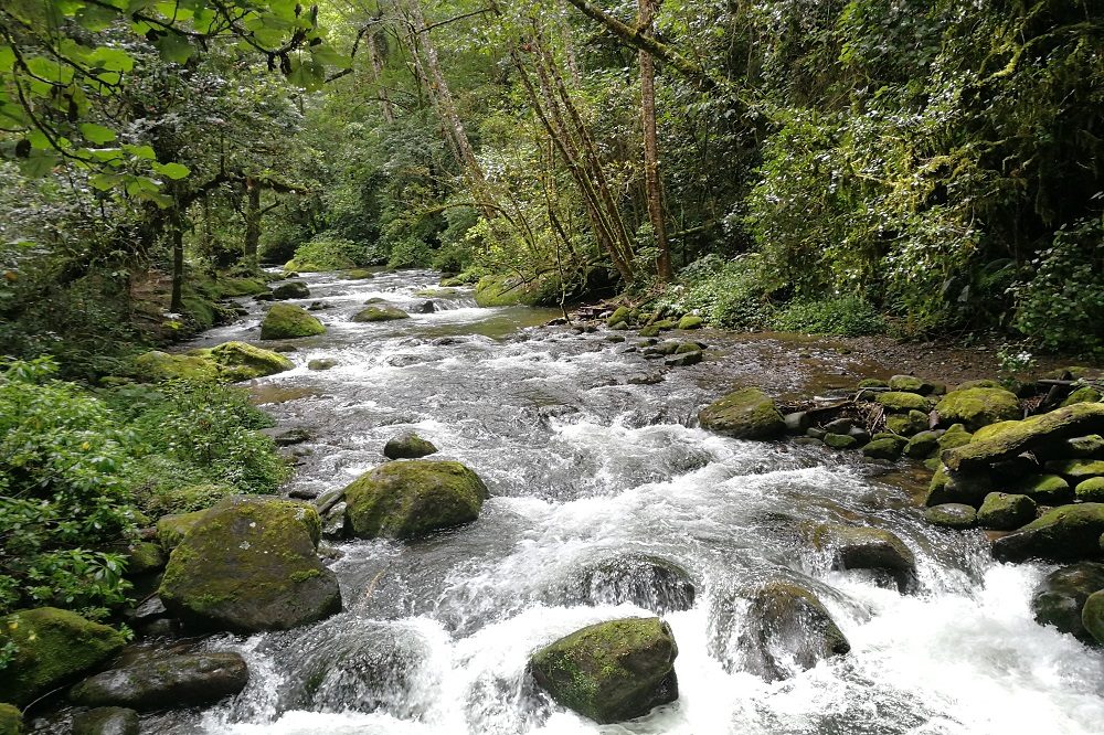 San Gerardo de Dota costa rica reizen