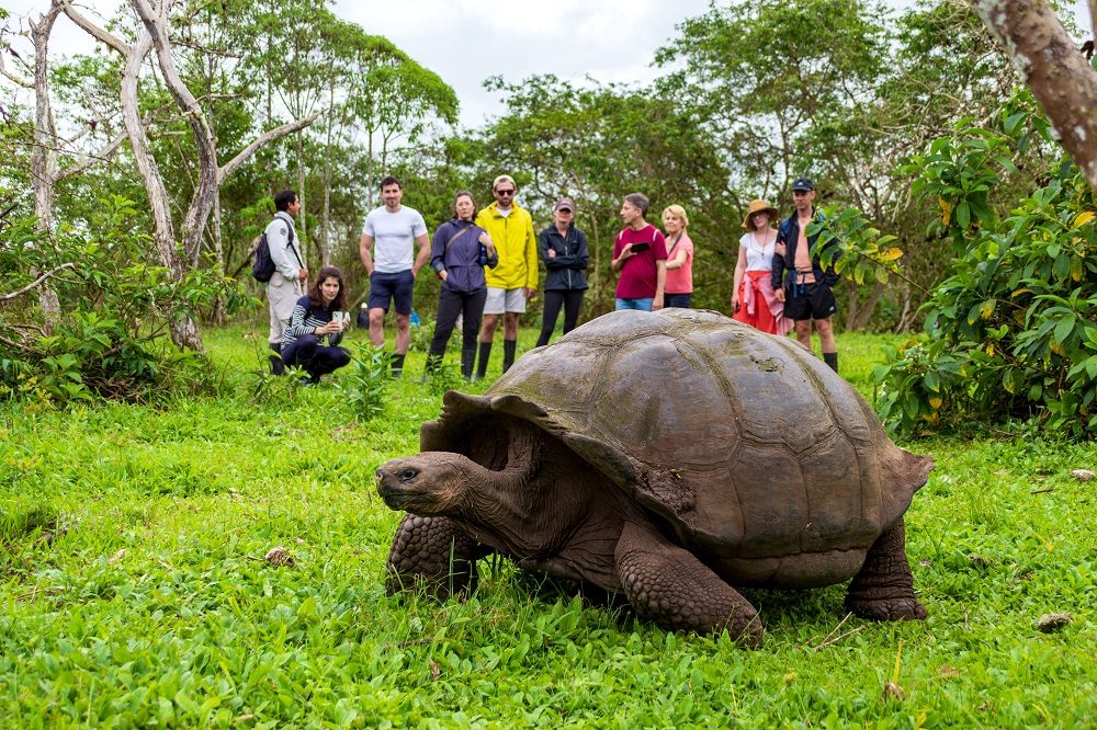 Schildpad excursie Galapagos Schildpad excursie Galapagos