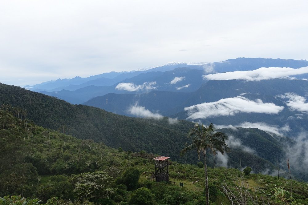Sierra Nevada de Santa marta 1