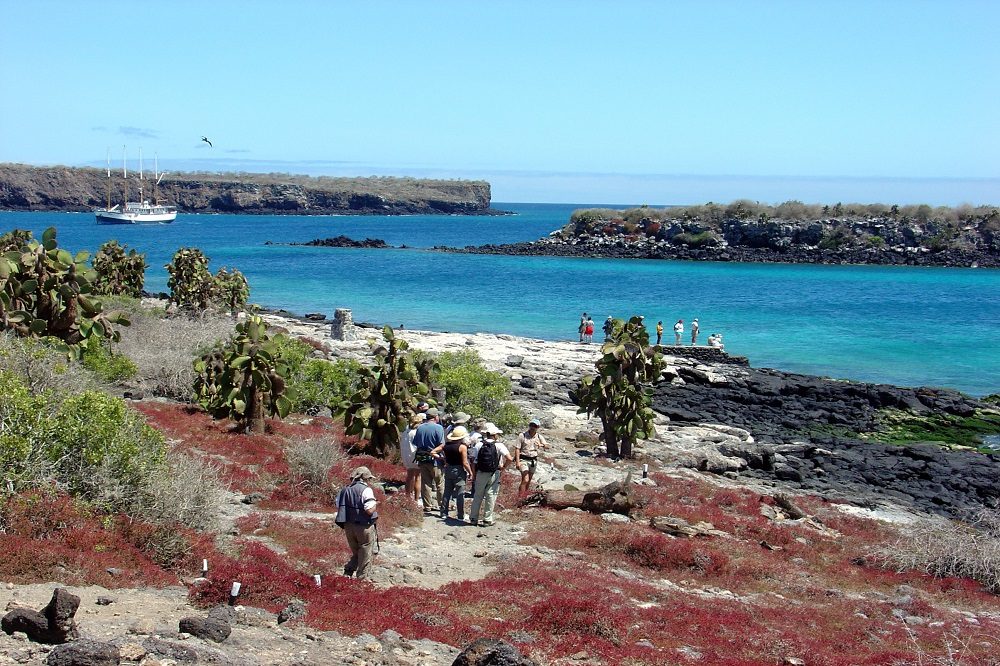 South Plazas Island rondreis galapagos South Plazas Island rondreis galapagos