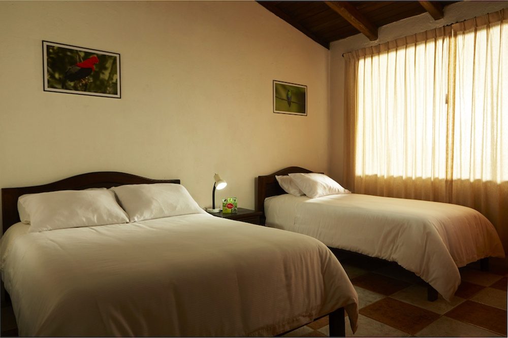 Tandayapa Bird Lodge room