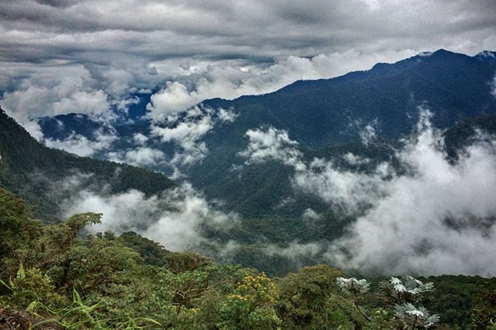 Tandayapa valley