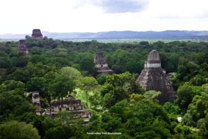 Tikal Guatemala fotoreis Guatemala & Belize