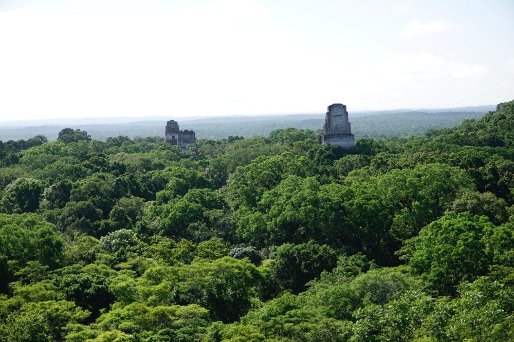 Tikal Luxe reis Guatemala