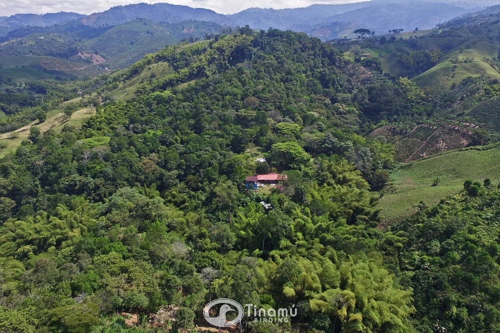 Tinamu Birding Nature Reserve Tinamu Birding Nature Reserve