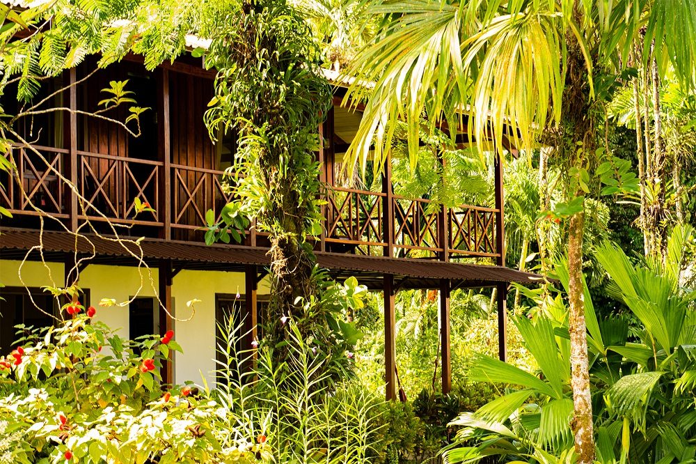 Tortuga Lodge tortuguero regenseizoen Tortuga Lodge tortuguero regenseizoen