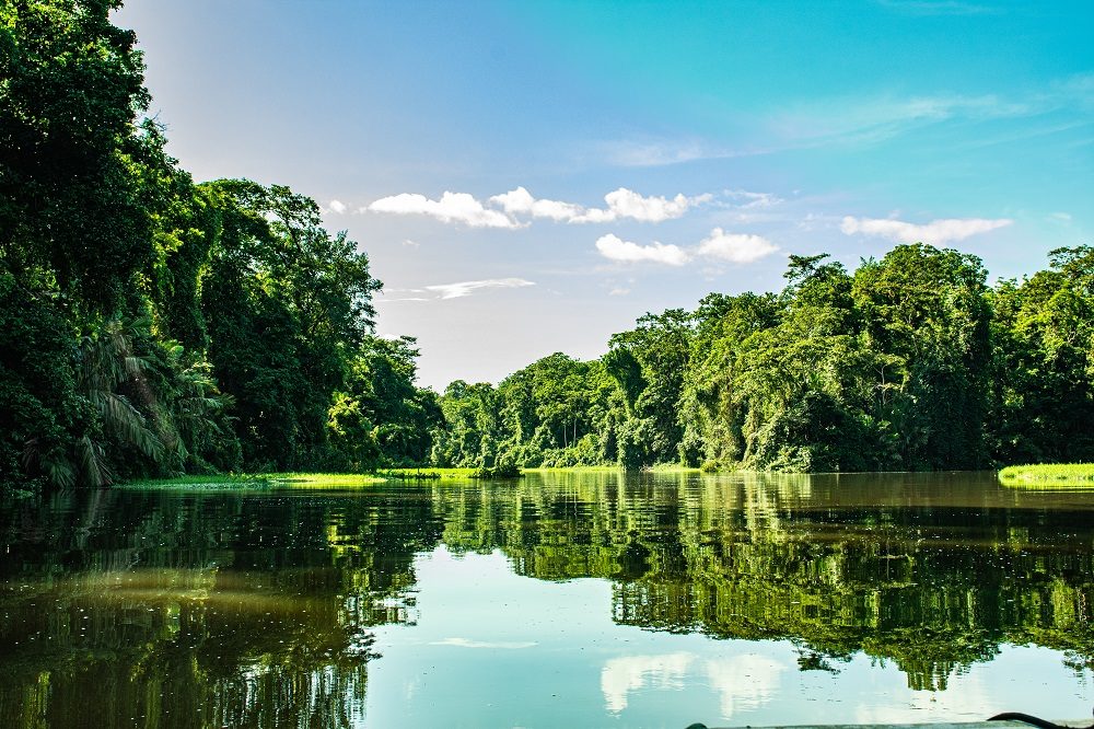 Tortuguero kanalen