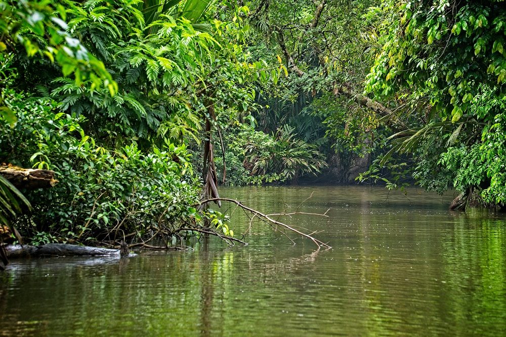 Tortuguero regenseizoen costa rica