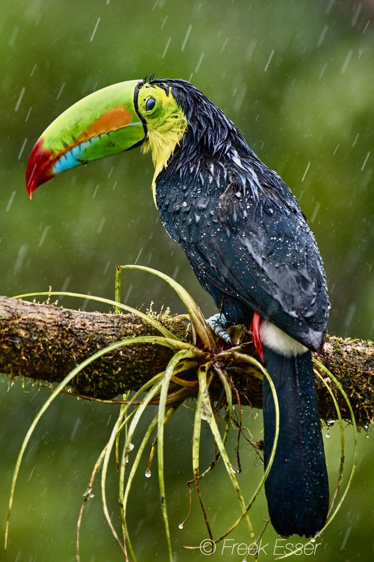 Fotoreis Costa Rica