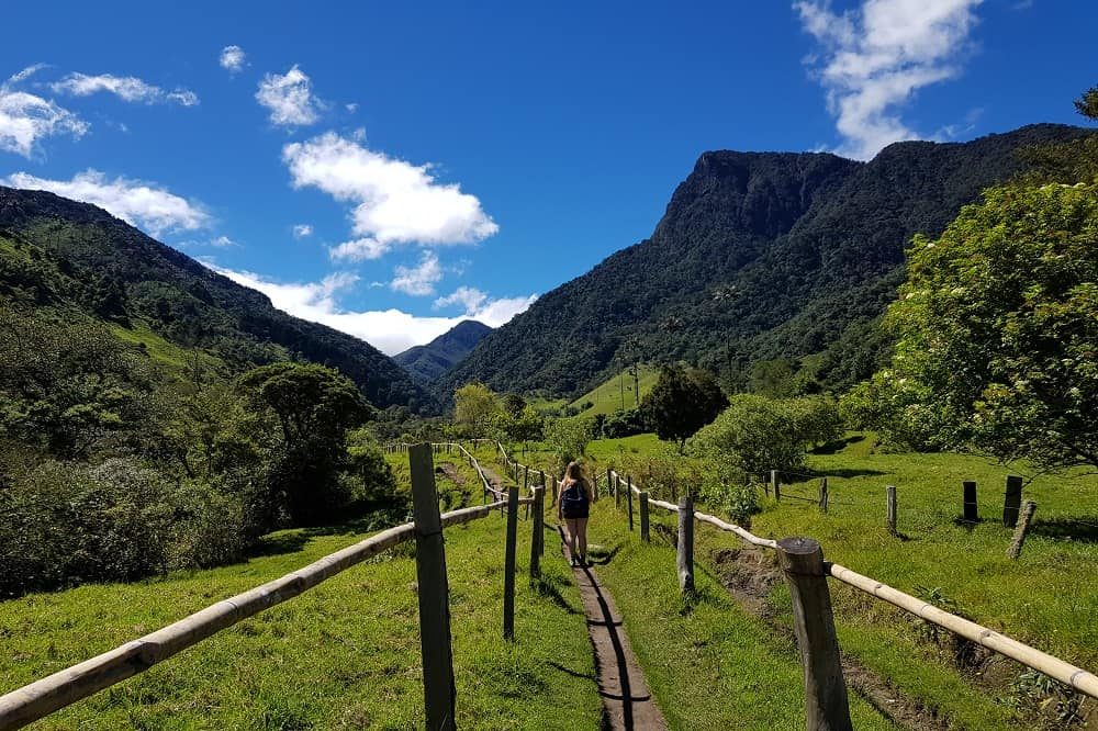 Valle de Cocora colombia