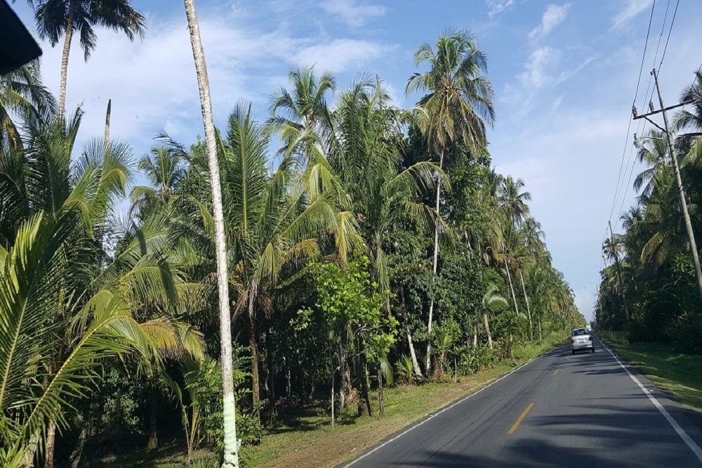 Weg in Costa Rica naar Caribische kust