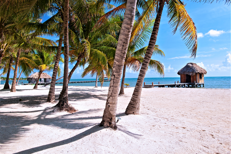 ambergris caye rondreis belize