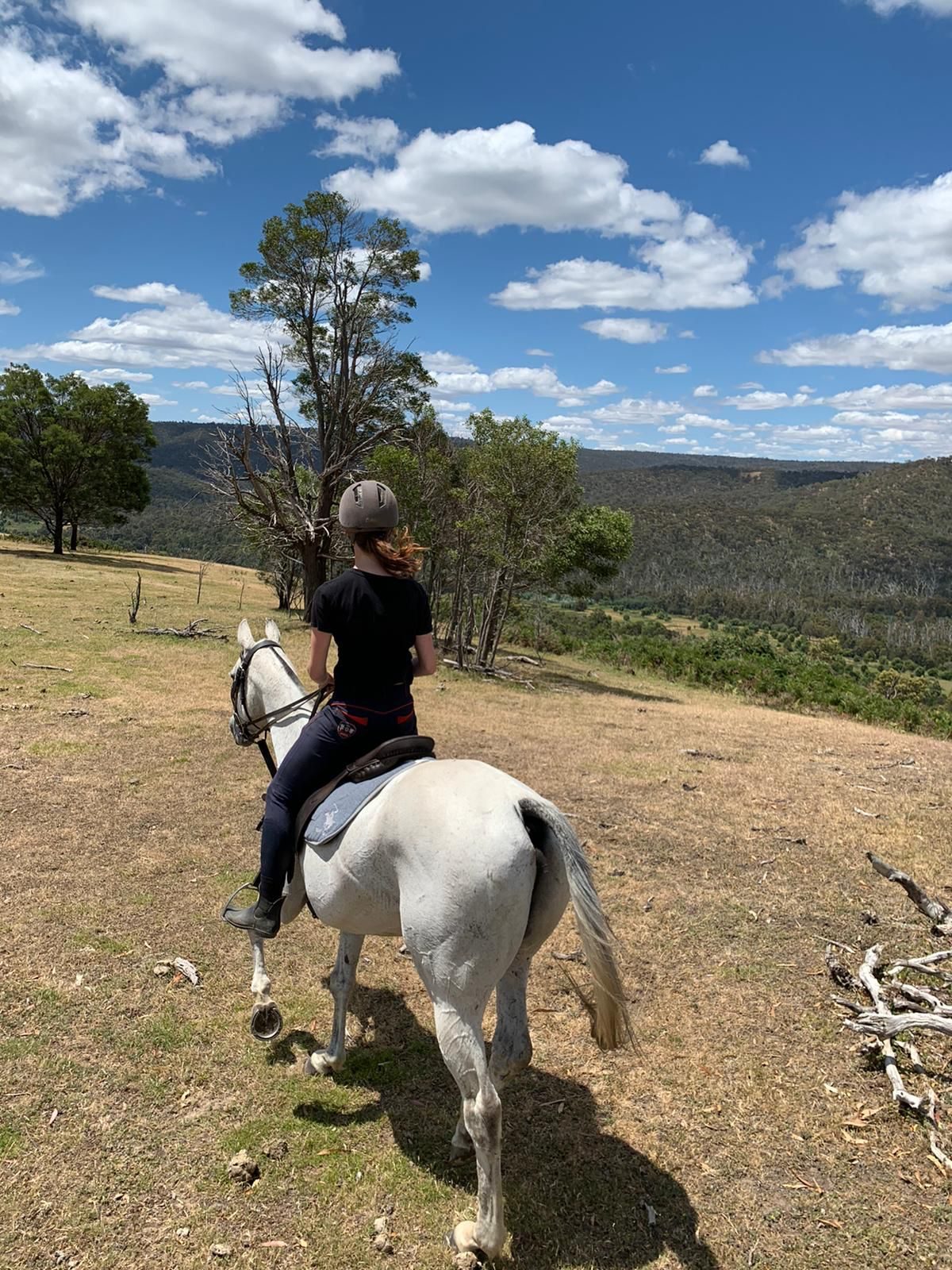 anne unico travel paardrijden anne unico travel paardrijden