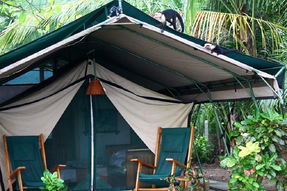 apen tent costa rica