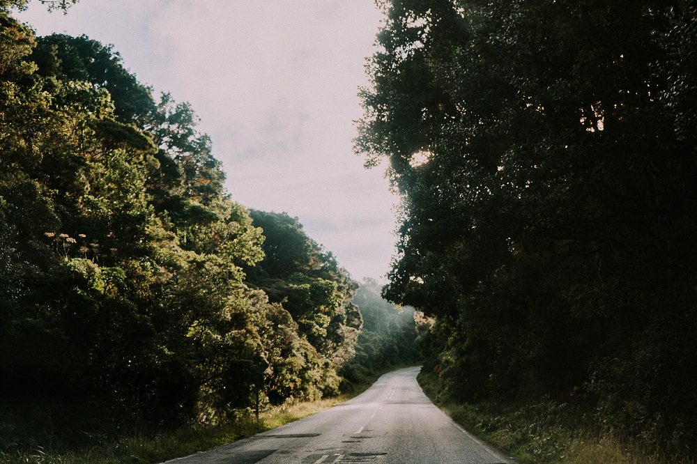 autorijden in Costa Rica in het nevelwoud autorijden in Costa Rica in het nevelwoud