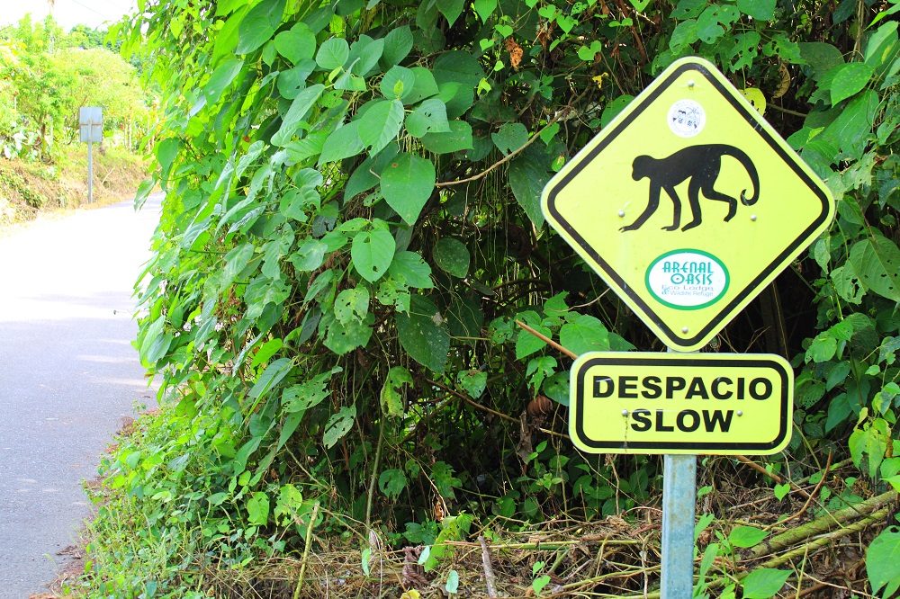 autorijden in Costa Rica overstekende dieren bord