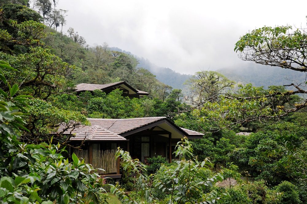 bajos del toro lodge