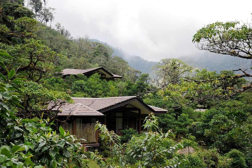 bajos del toro lodge